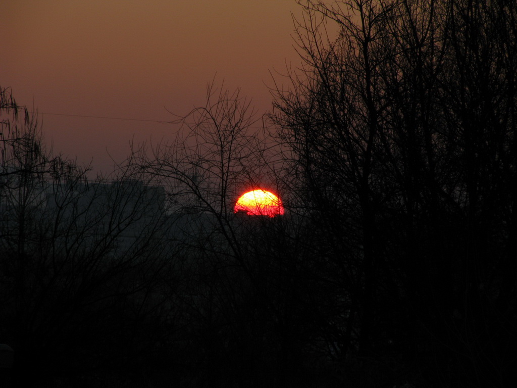 IMG_3264.jpg