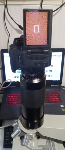 IMG_20220918_182700_459.jpg