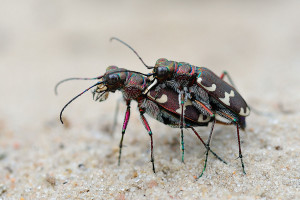 20100725_141804-1.jpg