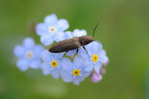 20100507_184641-1.jpg