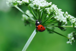 20100529_185014-1.jpg