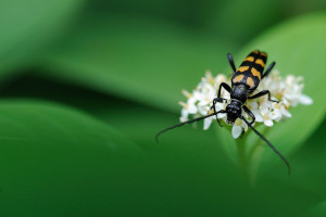 20100711_165100-1.jpg