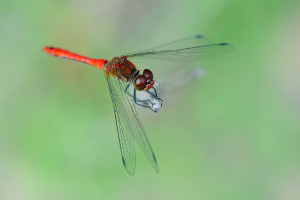 20100711_170849.jpg