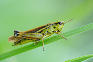 20100726_155113.jpg