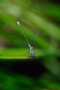 DSC_3095.jpg