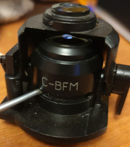 C-BFM_cr.jpg