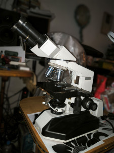 Bimam_web_2026-01-24.jpg