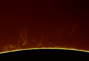 Ha-0004-13-04-02-12-39-29_color.jpg
