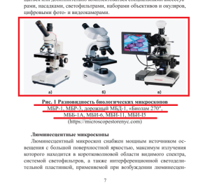 Снимок экрана (10).png