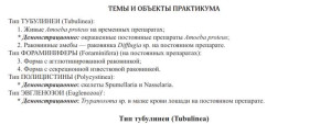 Бл2.jpg