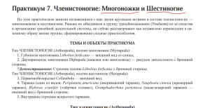 Бее.jpg