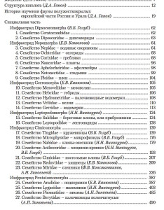 Клопы.jpg