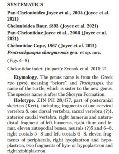 Zvonok et al., 2024.jpg