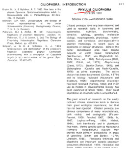 Б22.jpg