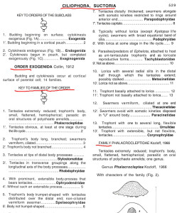 Б25.jpg