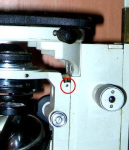 4800339.jpg