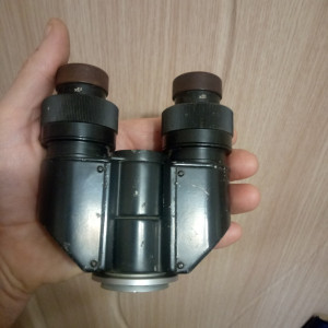 мссф.jpg
