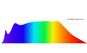 sunLike2a.png