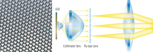 Nikon Led.jpg