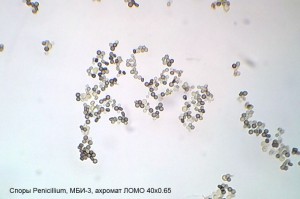 20130124_225952.jpg