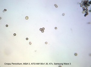 20130124_232108.jpg