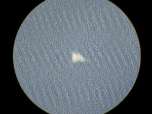Resize of Resize of ПЛАН-АПО100х1.JPG