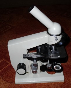 SDC11309.jpg