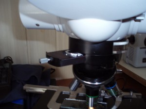 P1010004.JPG