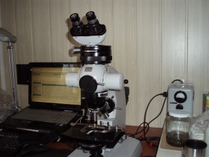 P1010003.JPG