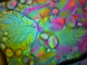 Biolam Pol 23.jpg
