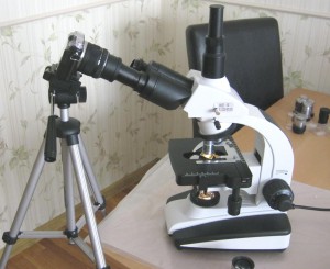 несуразица.jpg