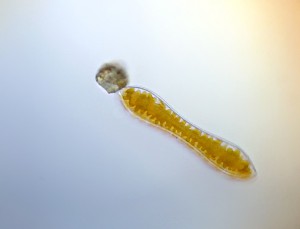 20130509_202457.jpg