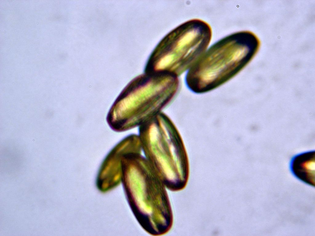2geum.jpg