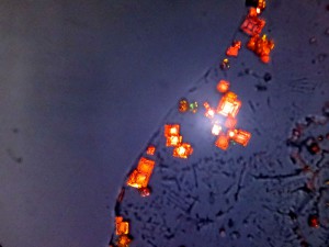 2013-05-12-886_2.jpg