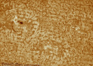 Ha--13-05-15_10-02-58_DMK-31_8Fr-x2_color.jpg