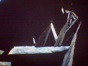 Борная_0010_3,5х-1.jpg