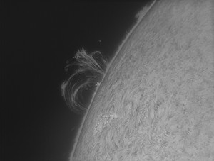 Sun-Ha_130520_acA640-100gm_102941_Ha_BW.jpg