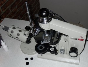 SDC11373.jpg
