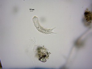 2013-05-31_0001.jpg