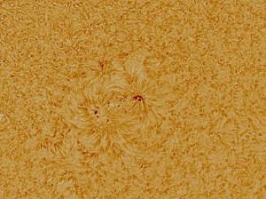 Sun-Ha_080613_DMx-31AU03_121635_color_80%.jpg