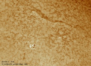 Sun-Ha_130612_acA640-100gm_101737_Ha_4Fr_color.jpg