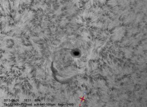 Sun-Ha_130626_acA640-100gm_105057_Ha_4Fr_x2_BW_80%.jpg