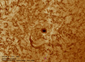 Sun-Ha_130626_acA640-100gm_105057_Ha_4Fr_x2_color_80%.jpg