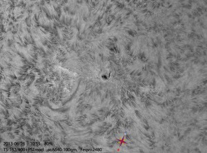 Sun-Ha_130626_acA640-100gm_105506_Ha_4Fr_x2_BW_80%.jpg