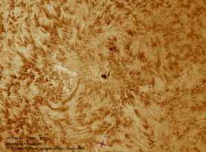 Sun-Ha_130626_acA640-100gm_105506_Ha_4Fr_x2_color.jpg
