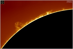 2_S-E prot_290613.jpg