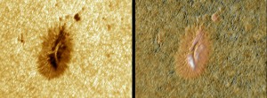 Sunspots_#1793_20130718_060345_pseudocolor.jpg