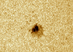 20130723_082243_B.jpg