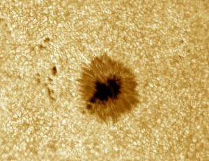 20130723_082528_B.jpg