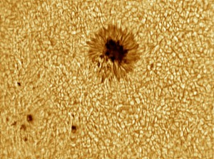 Sunspots_#11808_20130731_084314_UT.jpg